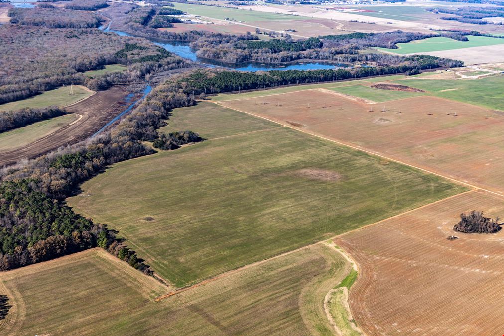 145+/- Acres near I-65/Hwy 20
