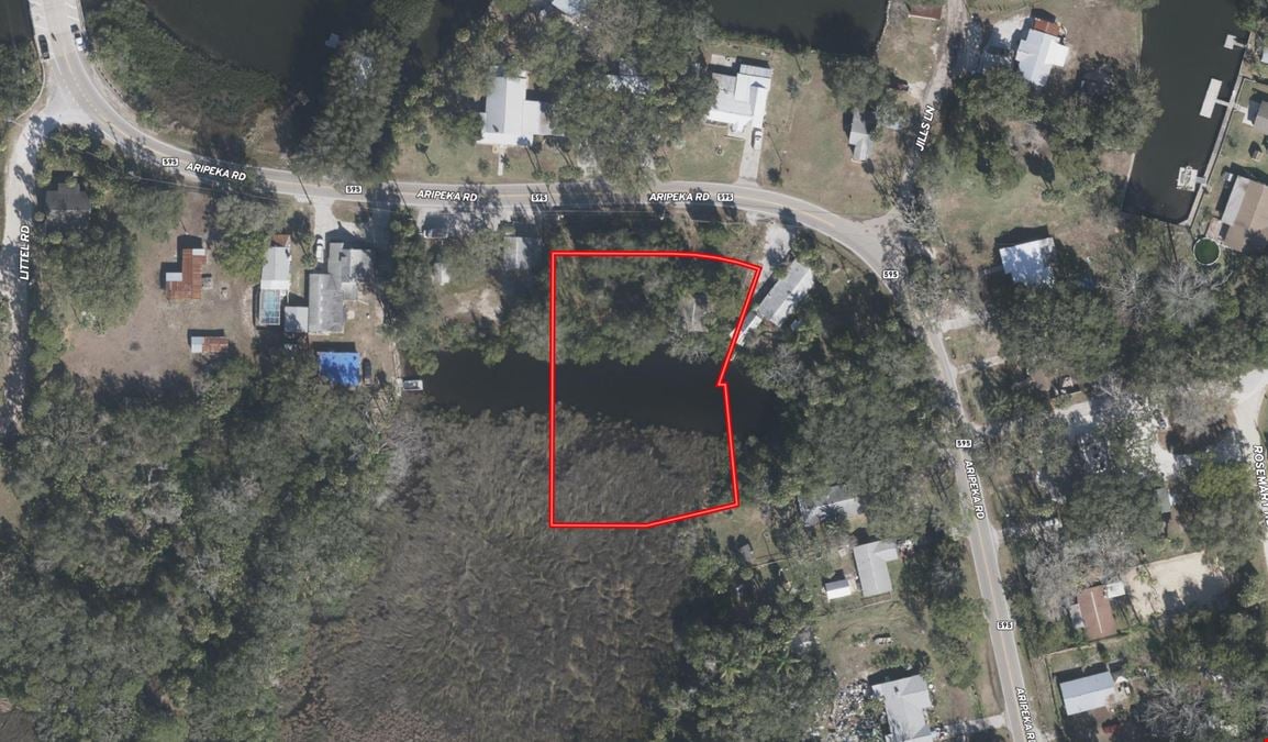 Aripeka Road Coastal Homesite Acreage