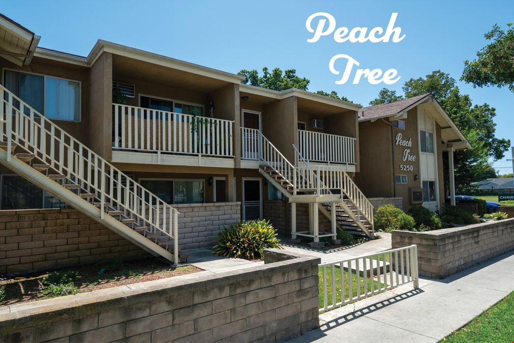 Peach Tree