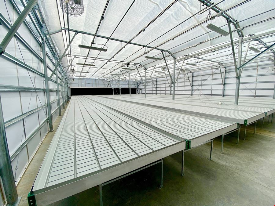 CBD farm