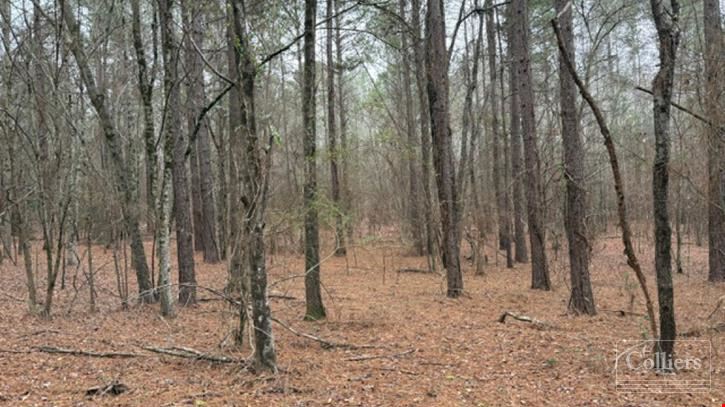 Estate Lots for Sale in Anderson County | ±5-Acre Minimum Lot Sizes