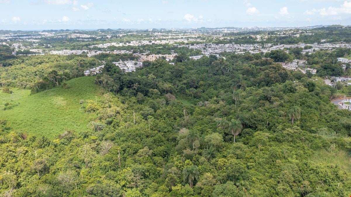 176 Acres of Residential Development Land in Toa Alta FOR SALE