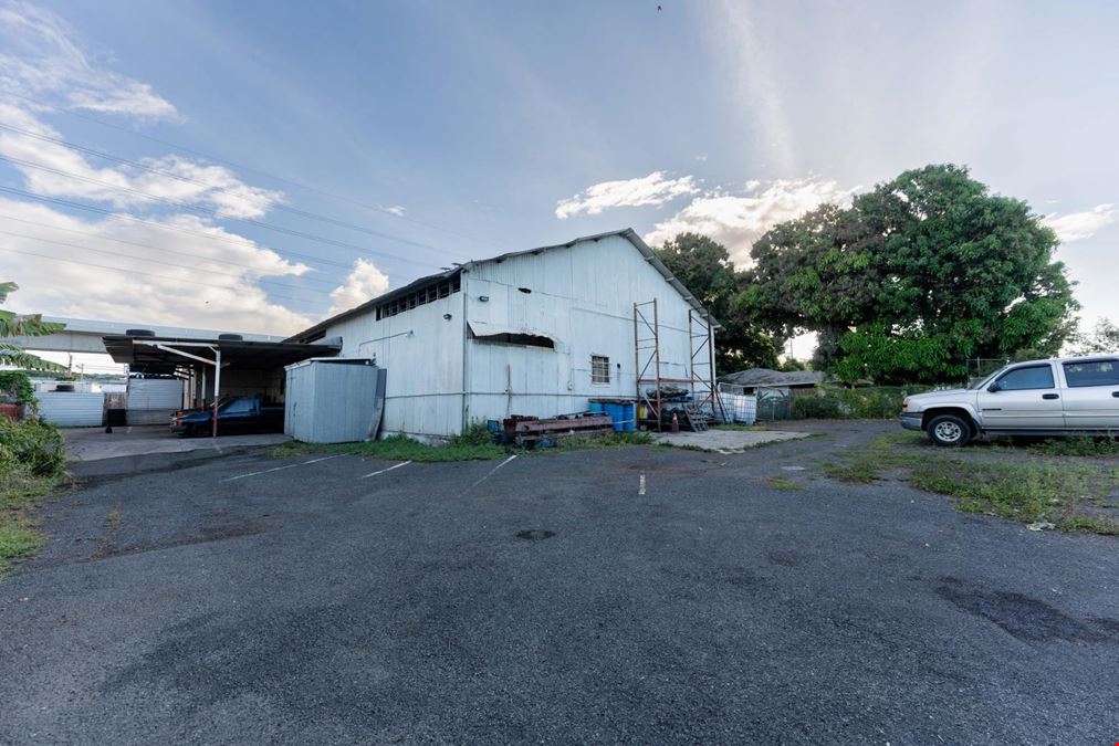 391 Kamehameha Hwy