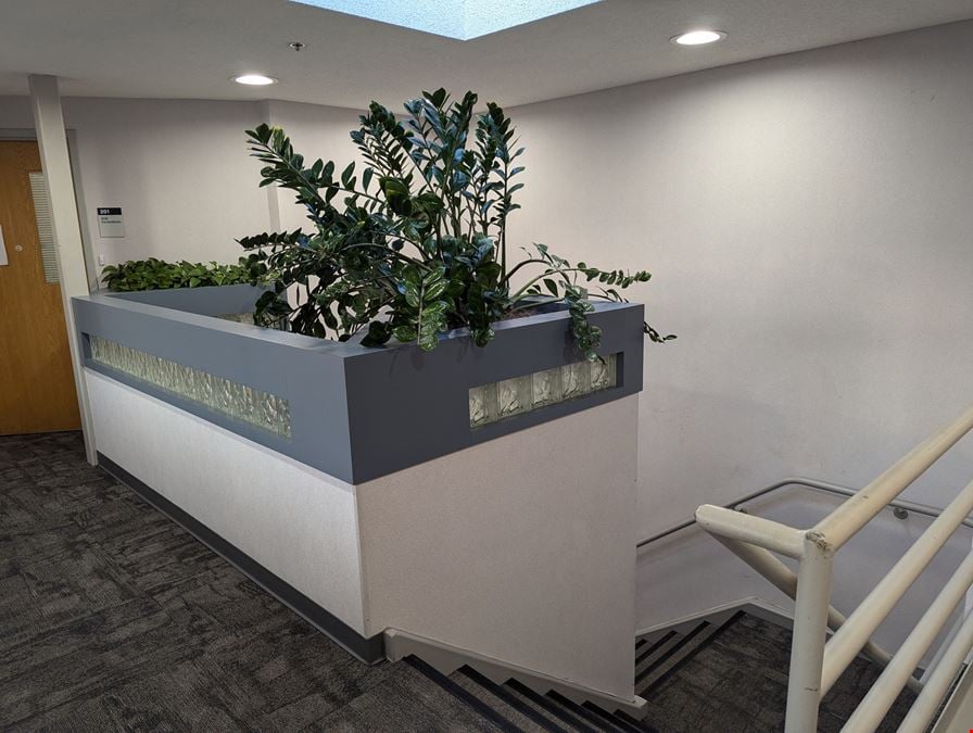 Forest Green Executive Center