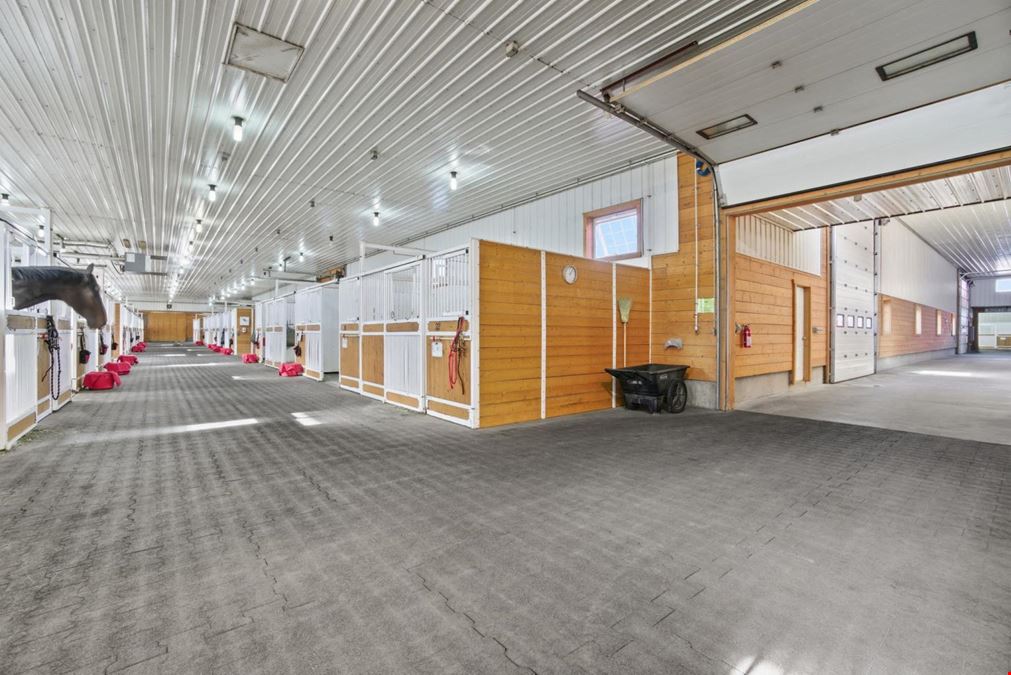 World-Class Equestrian in Central Alberta (Canada)
