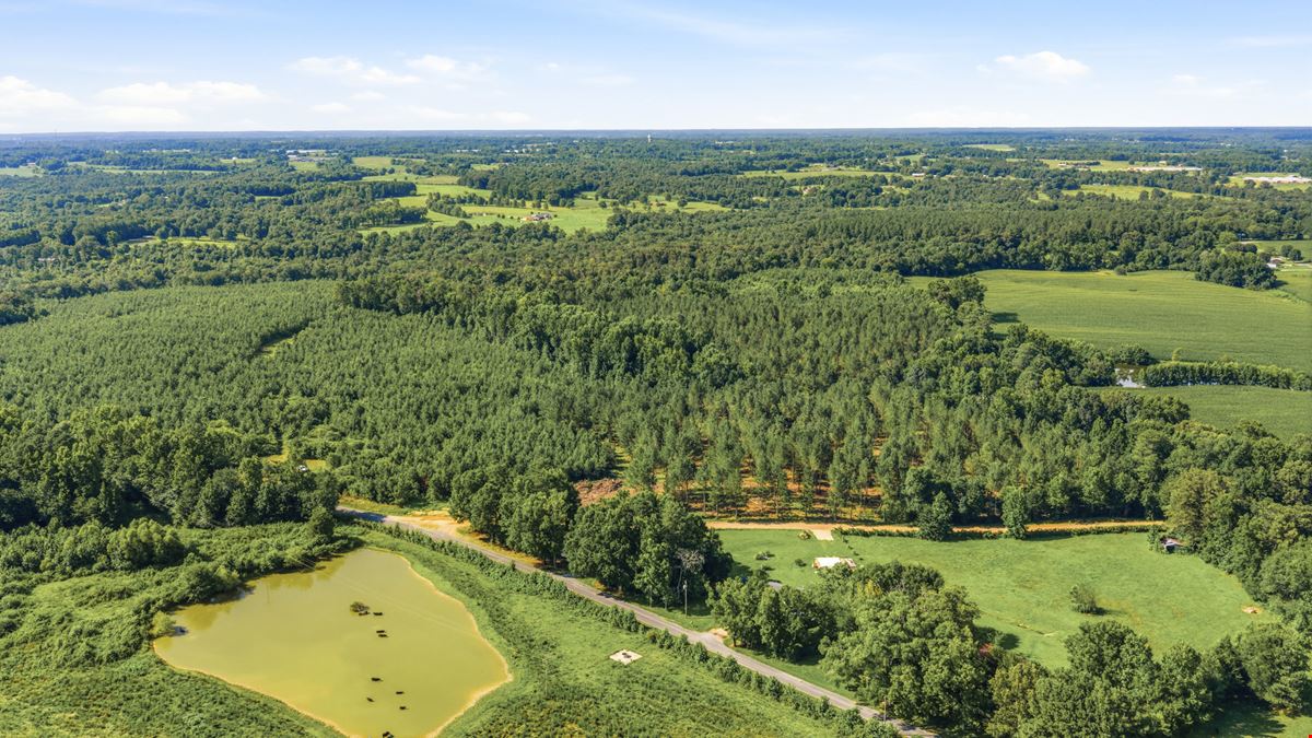 Richey Timber 40 Acres