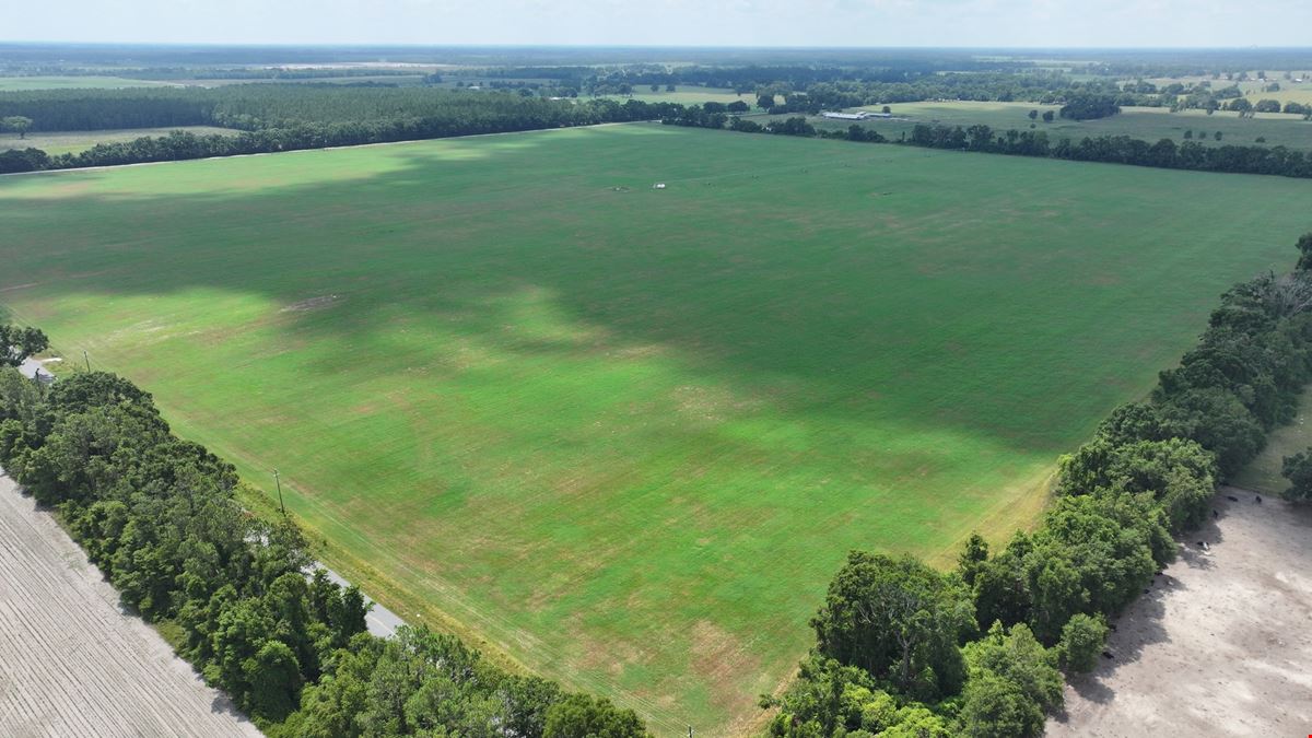 Suwannee County Quarter Section Farm