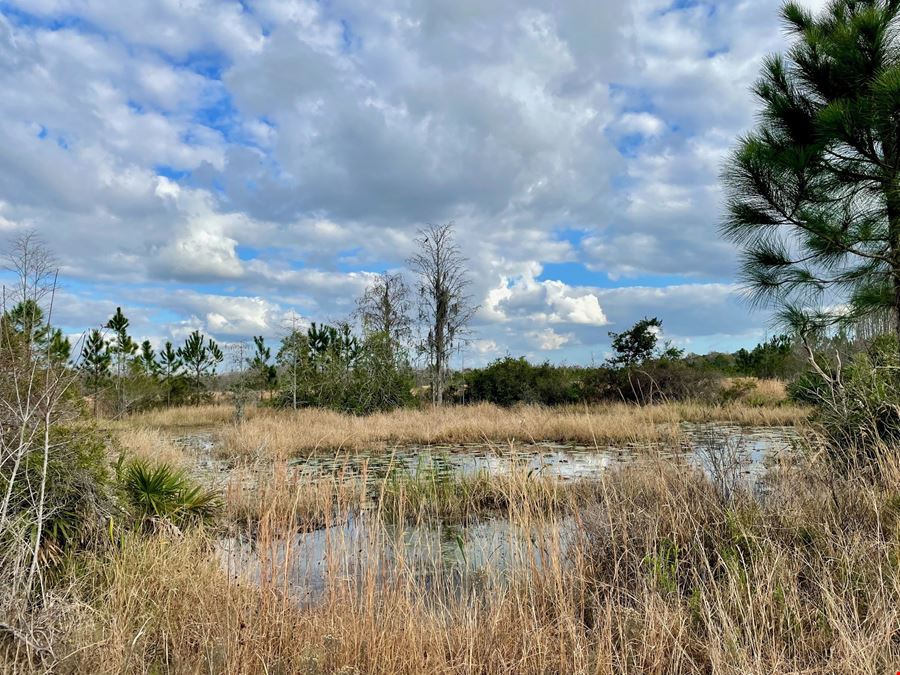 Old Florida Ranch Recreational Land