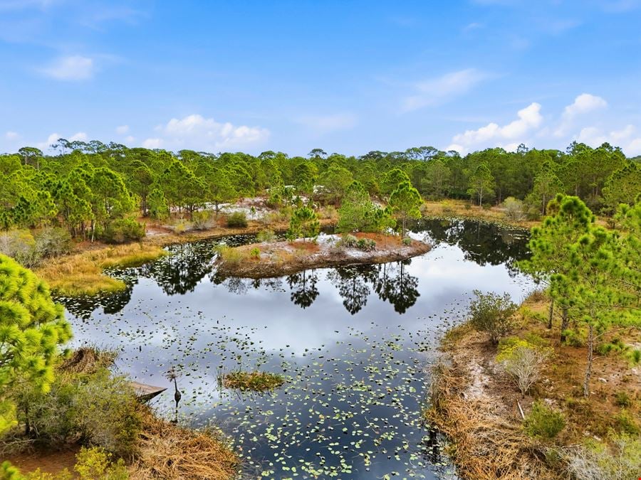 Bluefield Ranch Hunting Preserve
