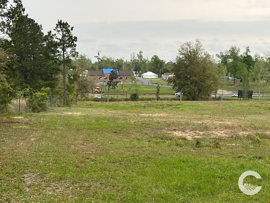 23.87 ± Acre Development Land - Marianna, FL