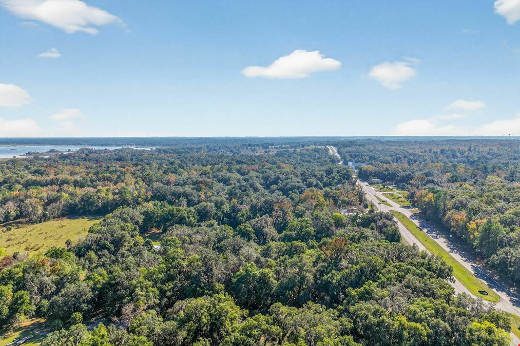 MICANOPY