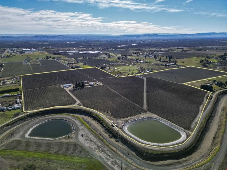 Occidental Orchards