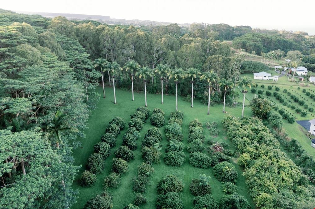 Luxurious Hawaiian Working Farm Retreat