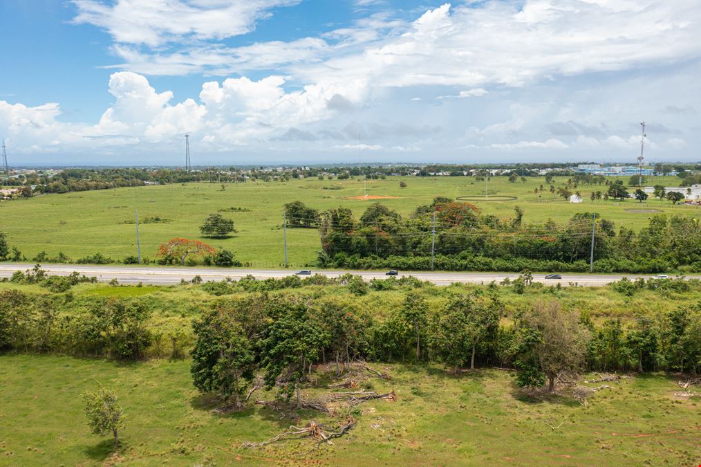 Moca Prime Industrial Land - For Sale