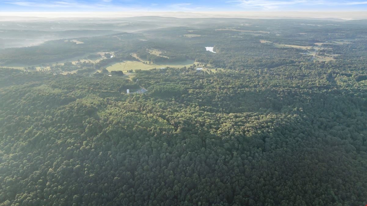 Dogtown Road Private Haven: Ultimate Recreational Retreat