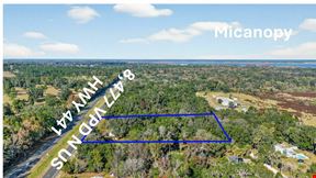 MICANOPY