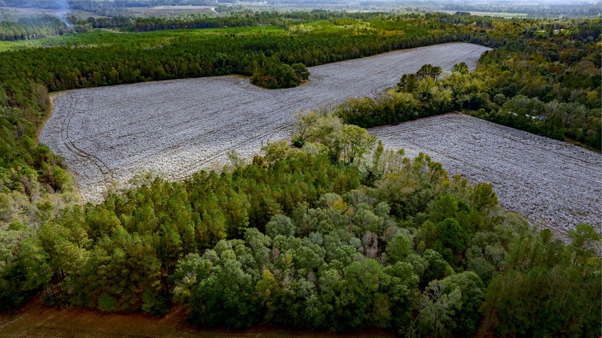 Old Magnolia Farm