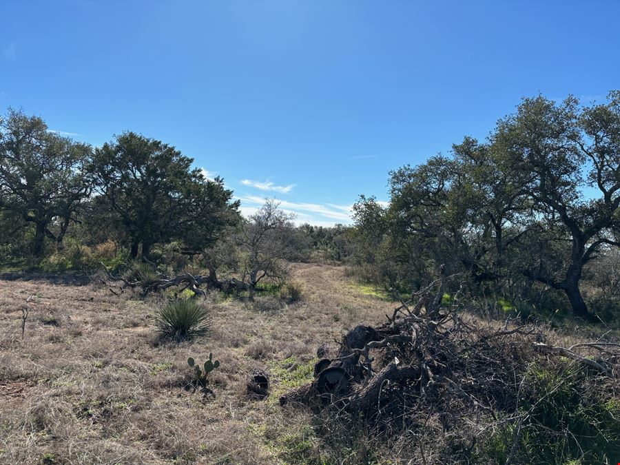 46 acres in Mason, TX