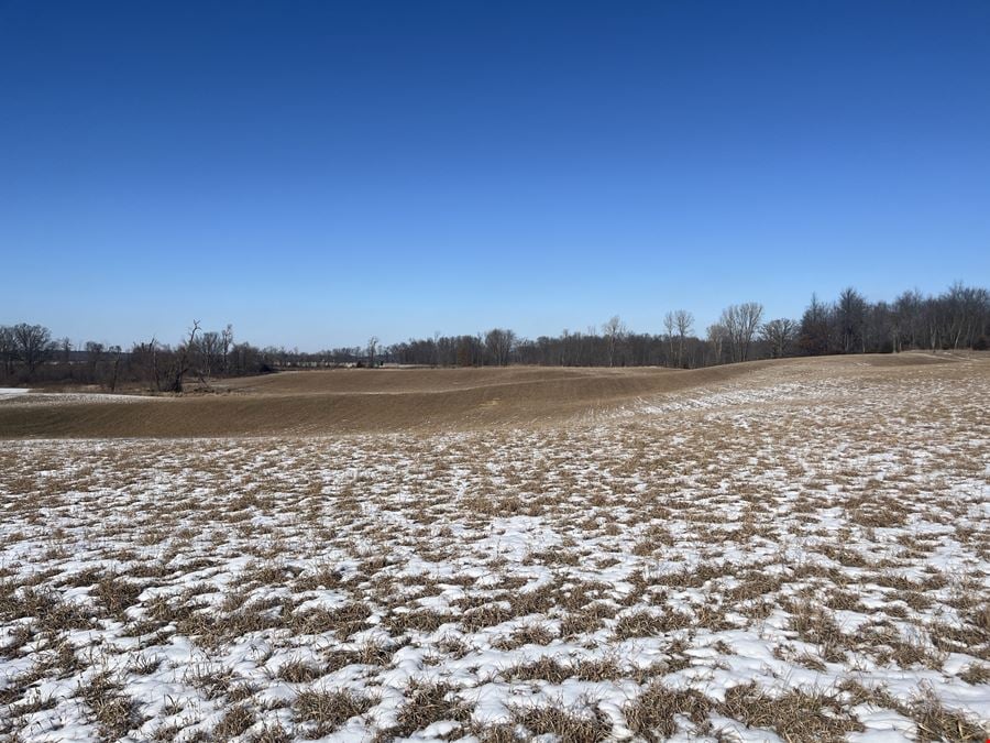 49.86 Acres AG Vacant Land in Chelsea