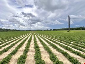 Dupree Tract