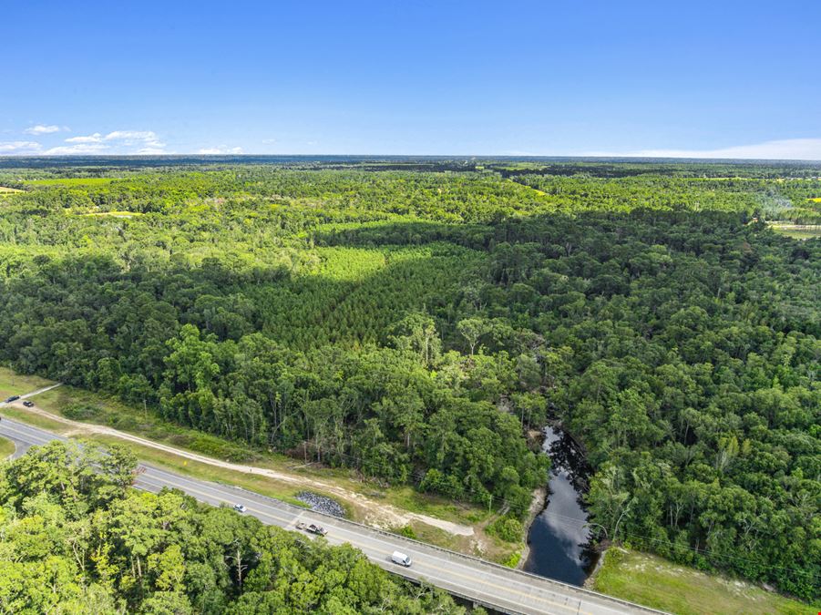 Withlacoochee River Timber and Hunting