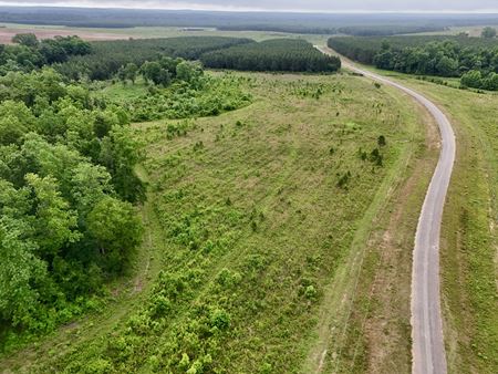 Preview of VacantLand space for Sale at 0 County Road 75 