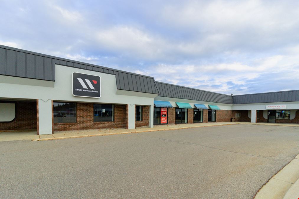 DeWitt Shopping Center