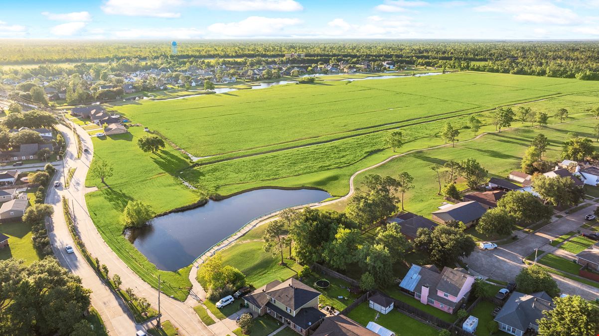 234.1847+/- acres Parcel C & D, Belle Terre Boulevard