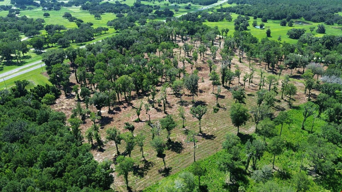 39 +/- Acres in Horse Country