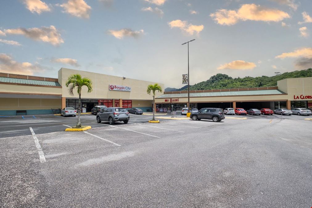 ADJUNTAS PLAZA SHOPPING CENTER