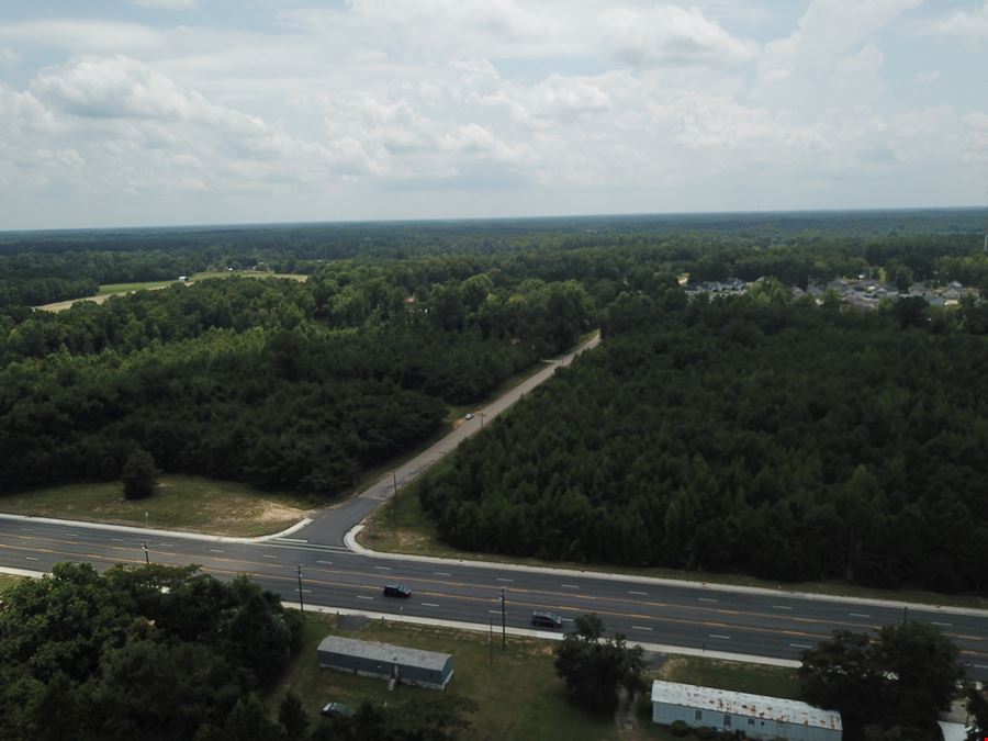 Alligator Rd
