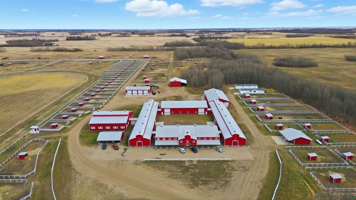 World-Class Equestrian in Central Alberta (Canada)
