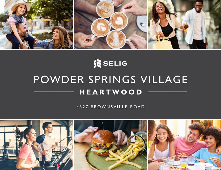 Powder Springs Village