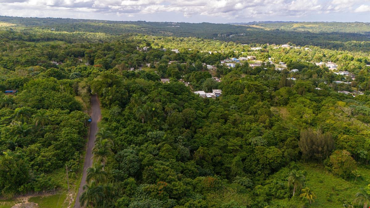 San Sebastian Vacant Land - For Sale