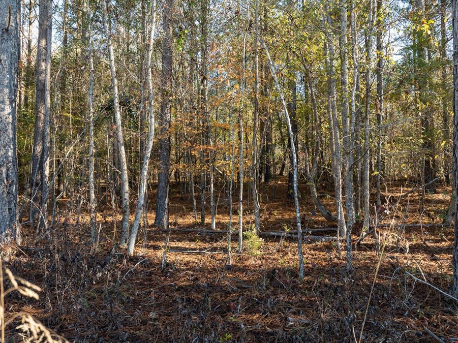 ± 10.16 Unrestricted Acres in Laurens, SC