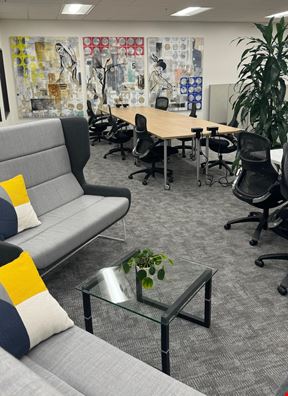 Bloom Workspaces