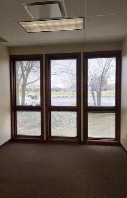 Barkan & Robon