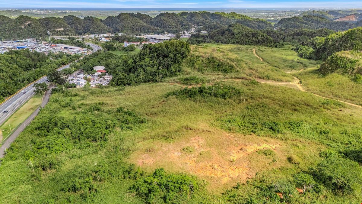 73 Developable Acres in Dorado - For Sale