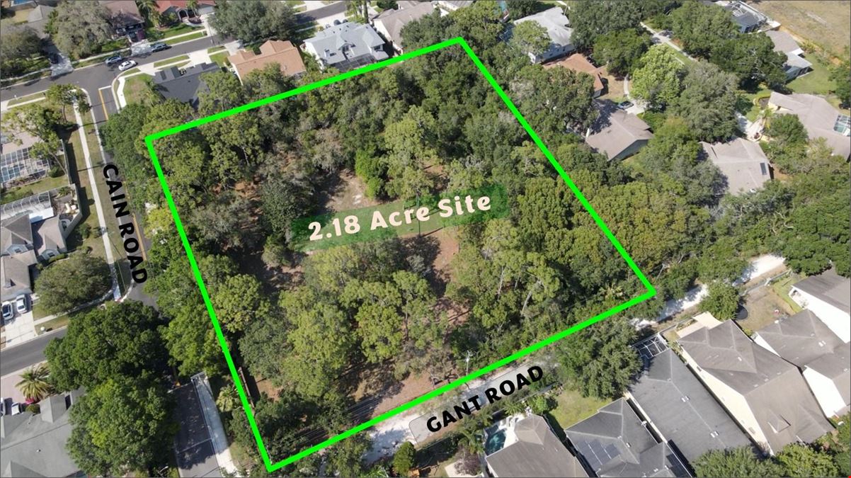 2.18 AC :: Residential land :: Citrus Park