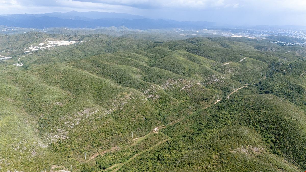 Industrial Vacant Land Portfolio @ Peñuelas - For Sale