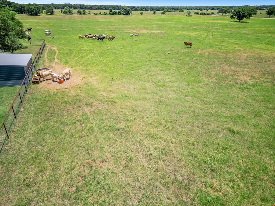 Working Farm & Ranch