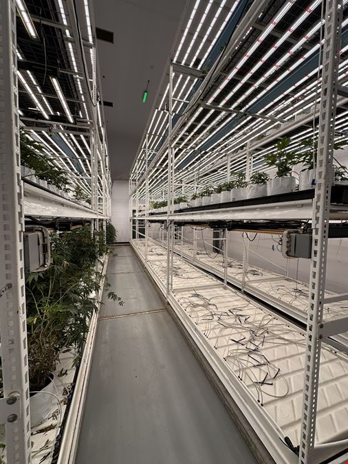 Burton - Former Operating/Turnkey Cultivation and Processing Facility
