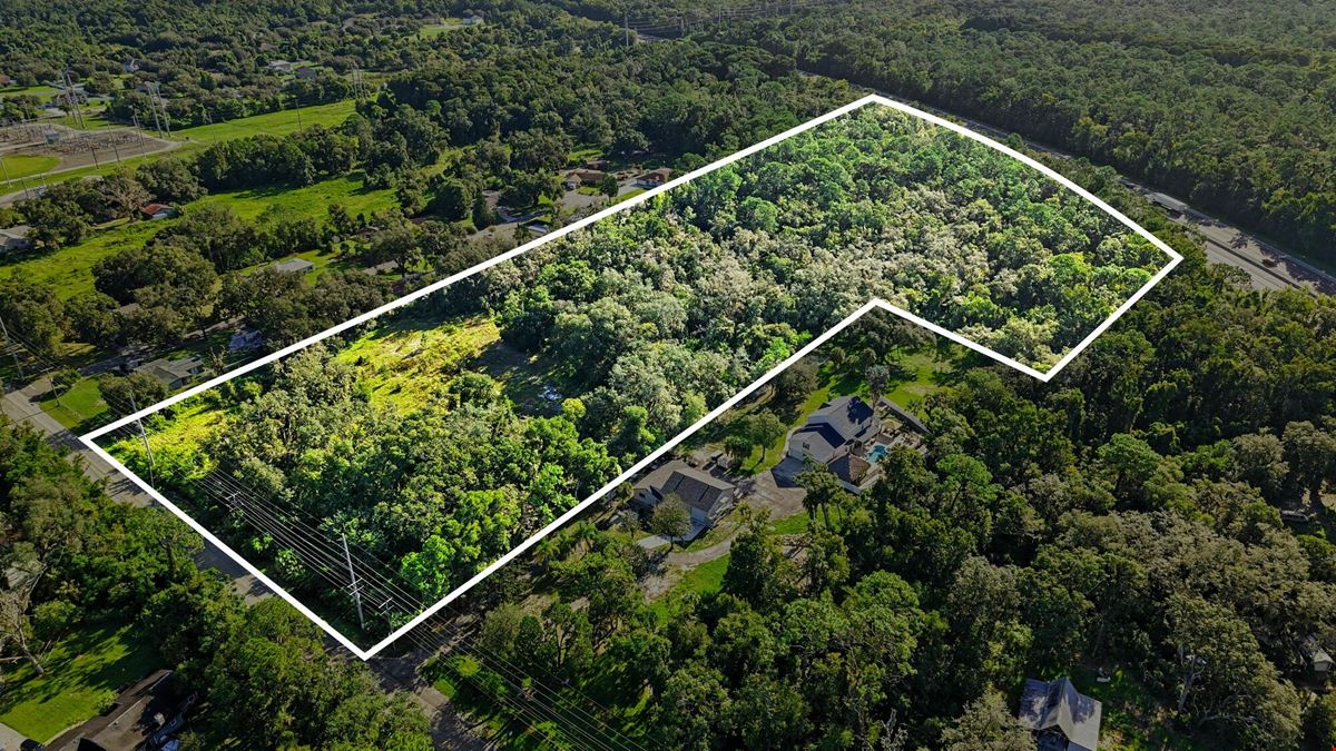Lutz Premier Development Site