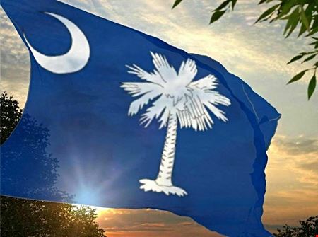 Preview of VacantLand space for Sale at Main Street All Specified Addresses in South Carolina by Website Links