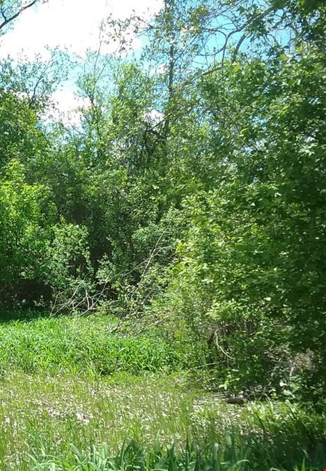 6 Acres on South State in Ann Arbor for Sale