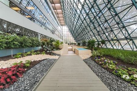 Preview of commercial space at 84 NE Interstate 410 Loop floor 2