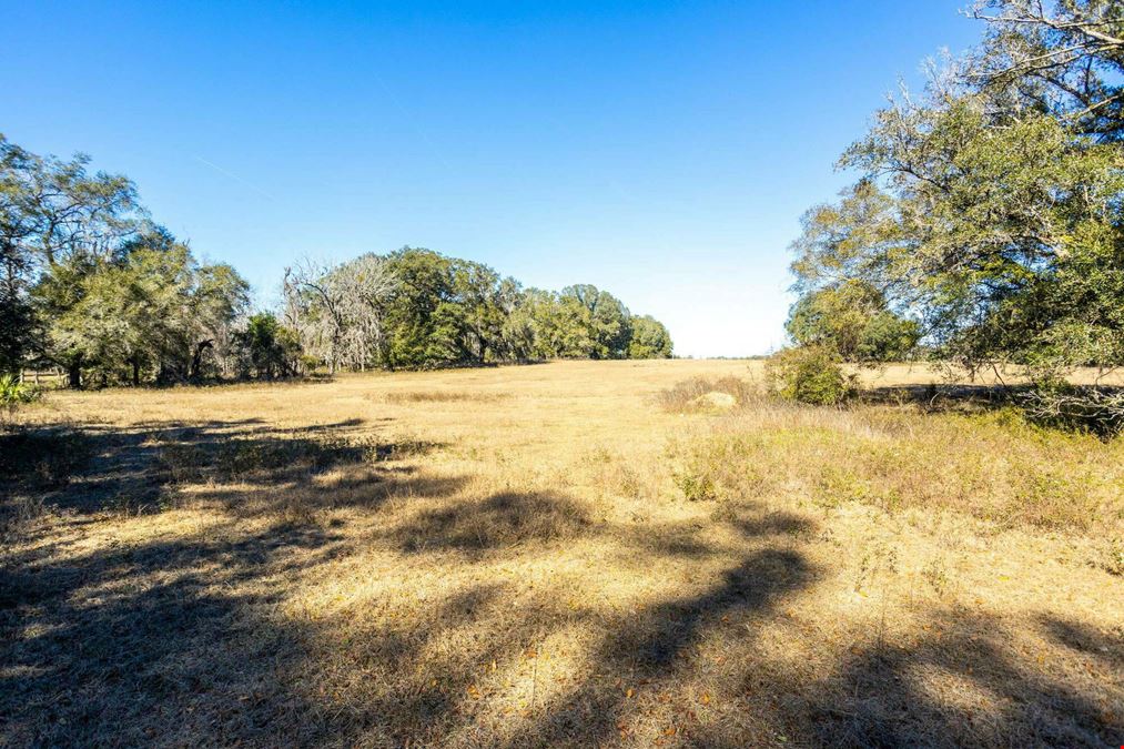 Twenty Three Acres of Residential Zoned Vacant Land in beautiful High Springs, Florida