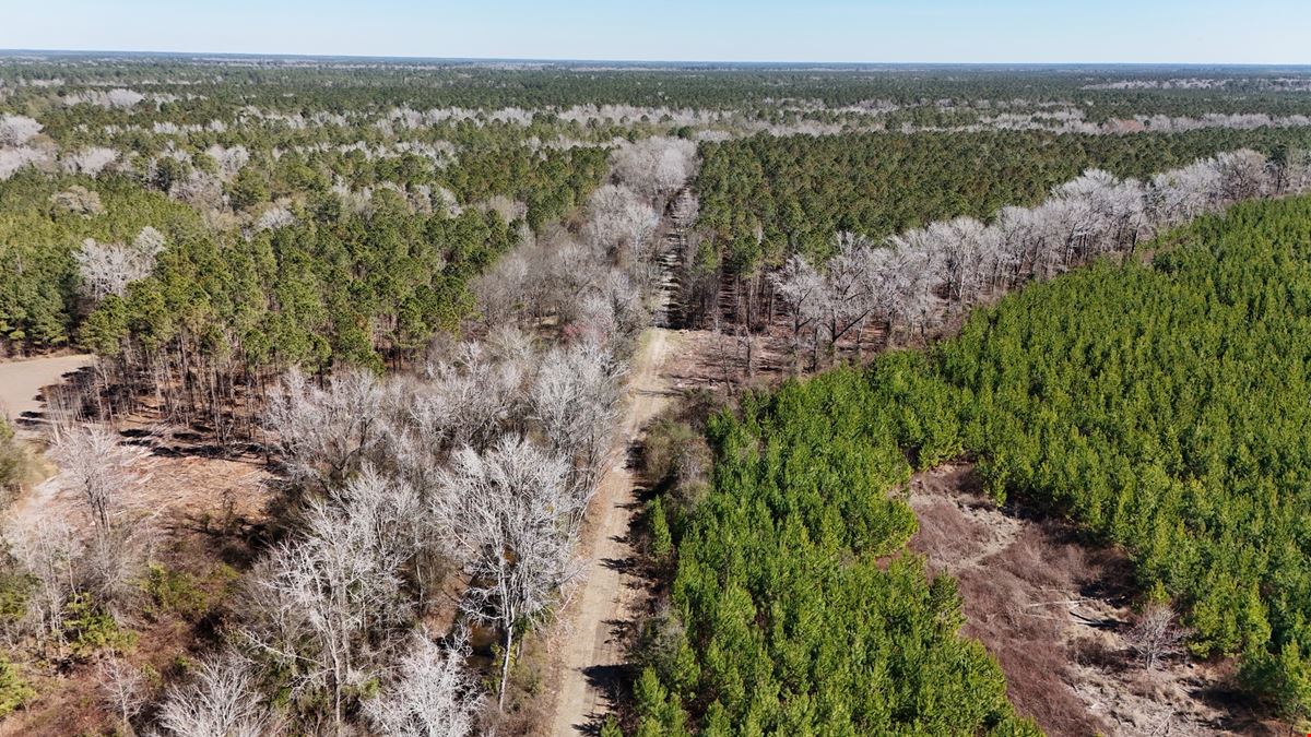 Lewis Timber Tracts