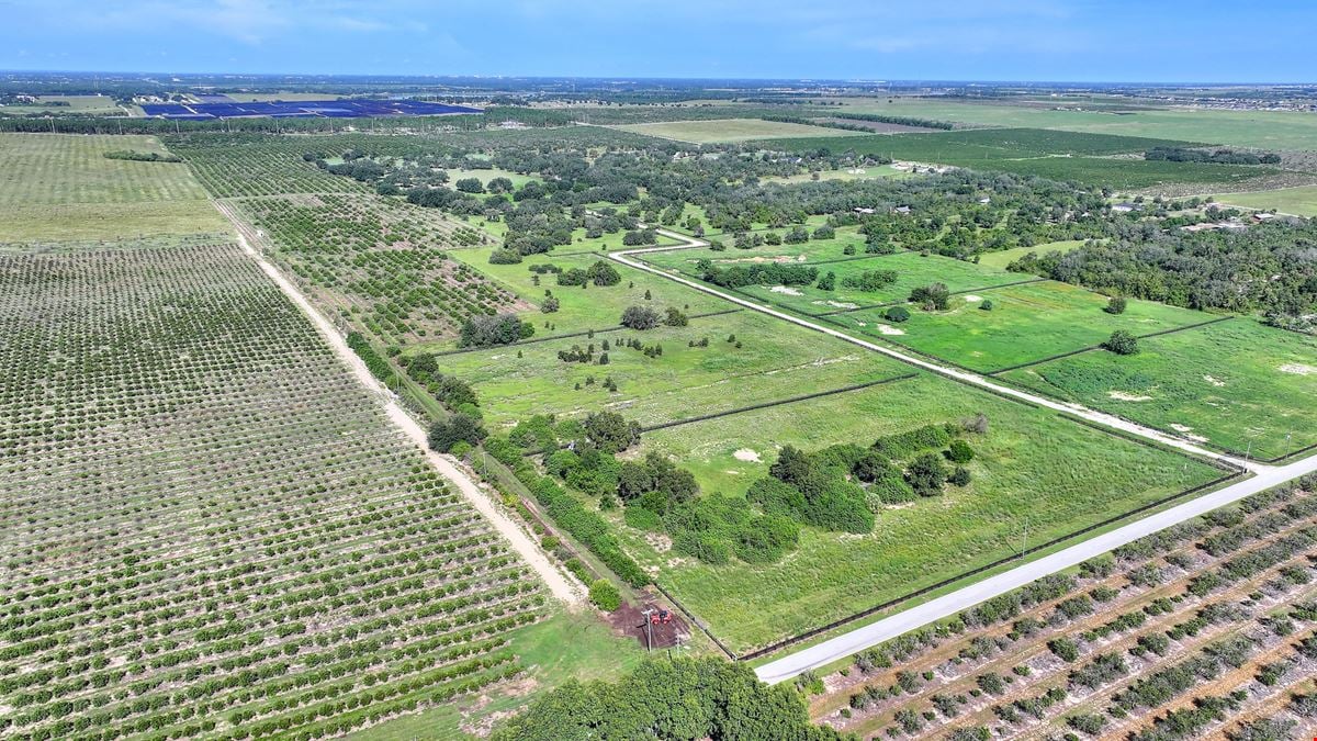 St. Helena Road 20 Acre Grove