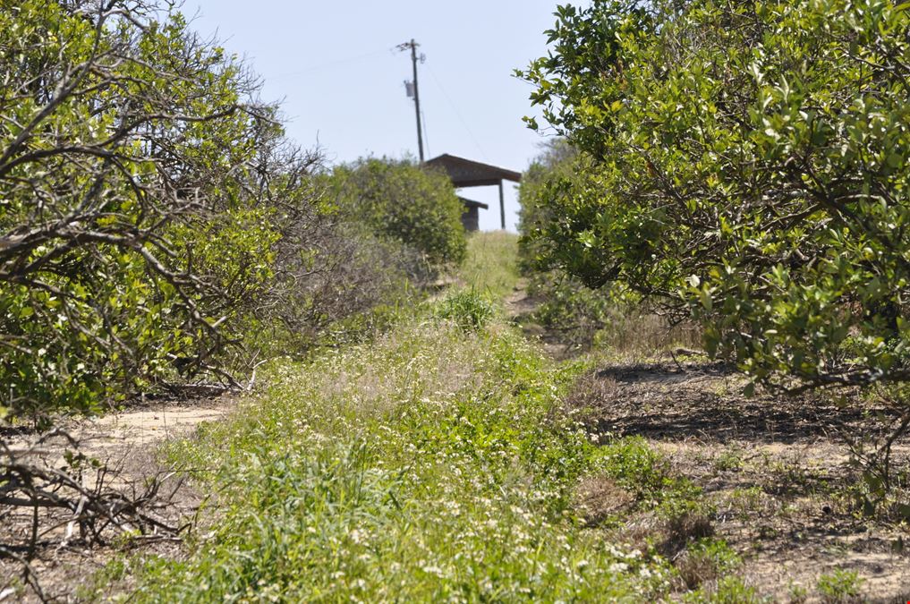 Garfield Nursery Road 20 Acres